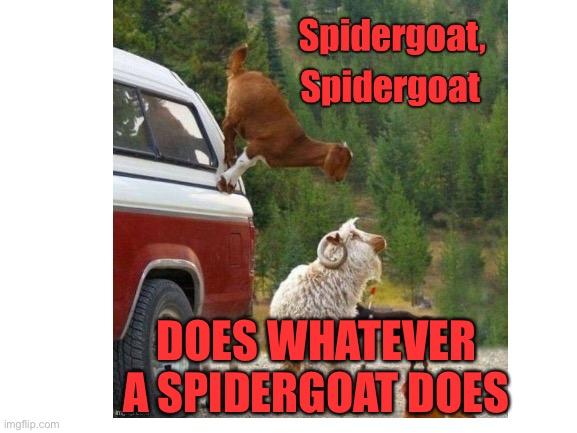 Spidergoat | DOES WHATEVER A SPIDERGOAT DOES | image tagged in spiderman,goat | made w/ Imgflip meme maker