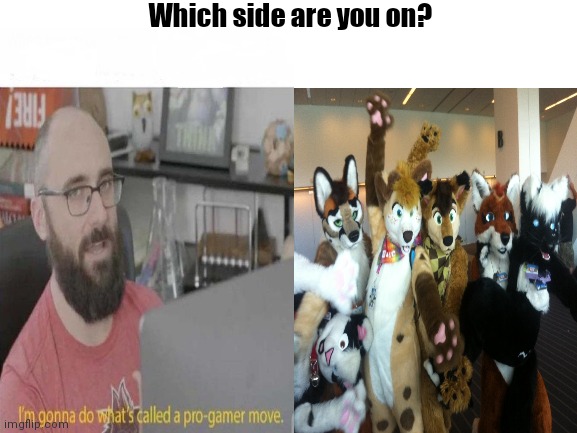 Pick a side - Furry vs gamer | Which side are you on? | image tagged in anti furry,furry | made w/ Imgflip meme maker