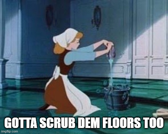 Cinderella Cleaning | GOTTA SCRUB DEM FLOORS TOO | image tagged in cinderella cleaning | made w/ Imgflip meme maker