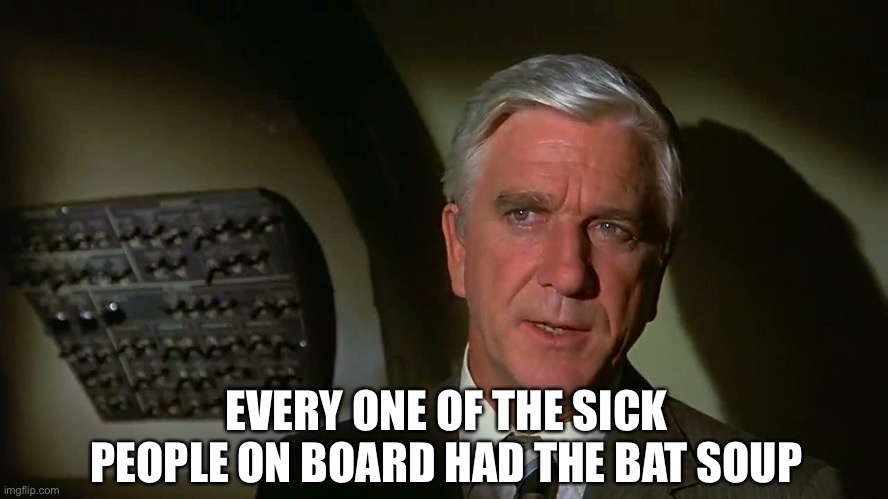 Airplane! | EVERY ONE OF THE SICK PEOPLE ON BOARD HAD THE BAT SOUP | image tagged in airplane | made w/ Imgflip meme maker