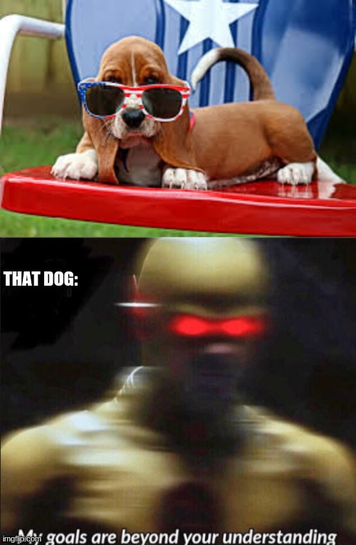 He do be clawed up tho | THAT DOG: | image tagged in my goals are beyond your understanding | made w/ Imgflip meme maker