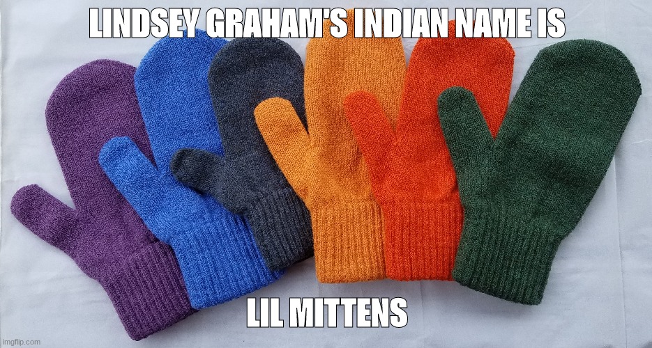 mittens | LINDSEY GRAHAM'S INDIAN NAME IS; LIL MITTENS | image tagged in politics | made w/ Imgflip meme maker