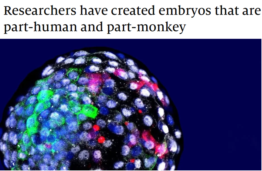 Humkey Embryo Blank Meme Template