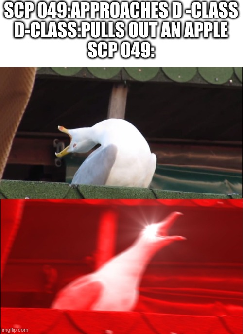 Screaming bird | SCP 049:APPROACHES D -CLASS
D-CLASS:PULLS OUT AN APPLE
SCP 049: | image tagged in screaming bird | made w/ Imgflip meme maker