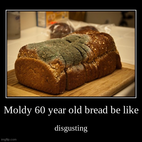 Moldy 60 year old bread be like | disgusting | image tagged in funny,demotivationals | made w/ Imgflip demotivational maker