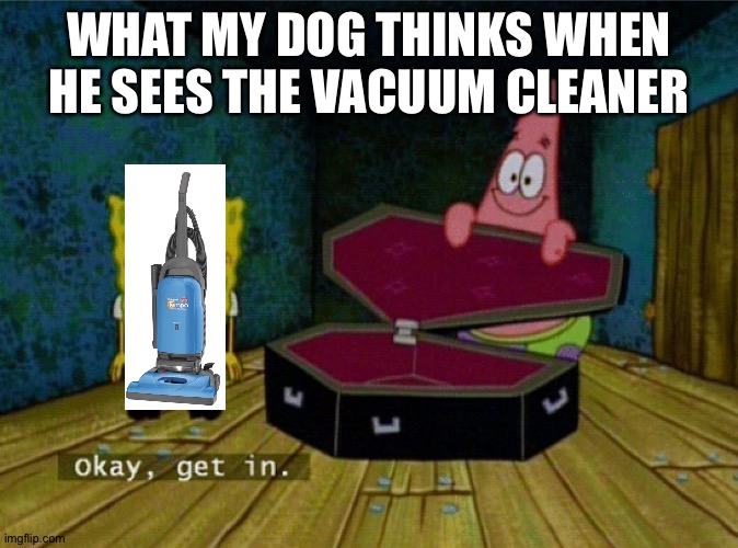 MUST.  PROTECT.  HUMAN!!! | WHAT MY DOG THINKS WHEN HE SEES THE VACUUM CLEANER | image tagged in spongebob coffin,dogs,vacuum | made w/ Imgflip meme maker