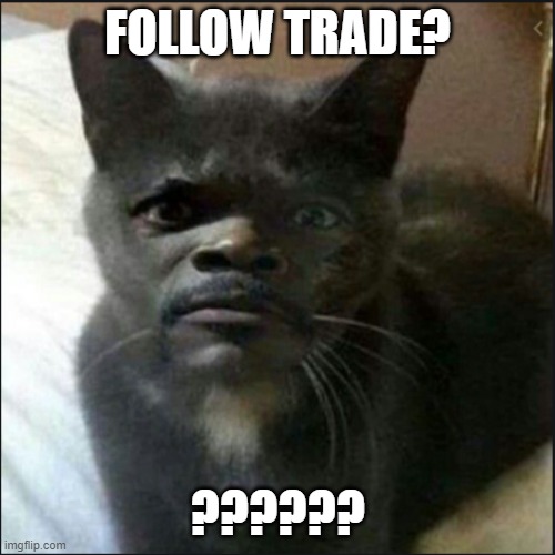 ignore the template | FOLLOW TRADE? ?????? | image tagged in lol | made w/ Imgflip meme maker