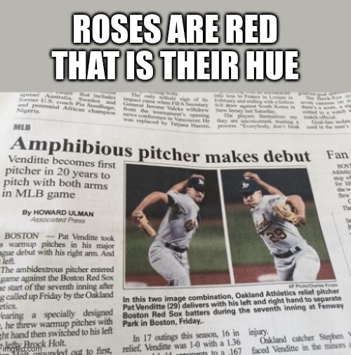 Is their some new kind of salamander that looks like a human that I don't know about? | ROSES ARE RED
THAT IS THEIR HUE | image tagged in roses are red,my dog is named lou,apparently amphibians can play baseball,who knew,amphibious pitcher makes debut | made w/ Imgflip meme maker