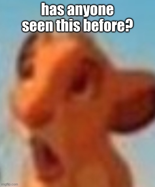 has anyone seen this before? | made w/ Imgflip meme maker
