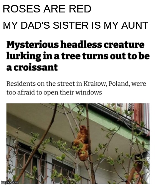 ROSES ARE RED; MY DAD'S SISTER IS MY AUNT | image tagged in funny,news,memes | made w/ Imgflip meme maker