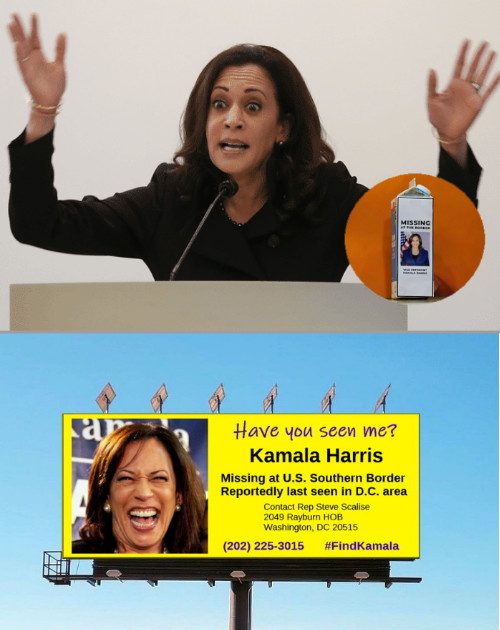 Kamala Harris Missing billboard Blank Meme Template