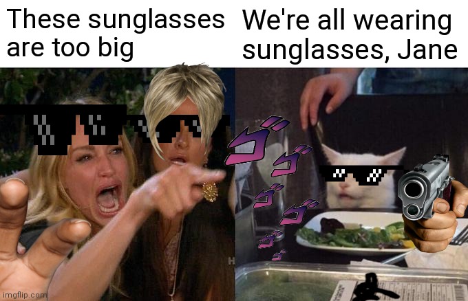 Woman Yelling At Cat Meme | These sunglasses are too big; We're all wearing sunglasses, Jane | image tagged in memes,woman yelling at cat | made w/ Imgflip meme maker