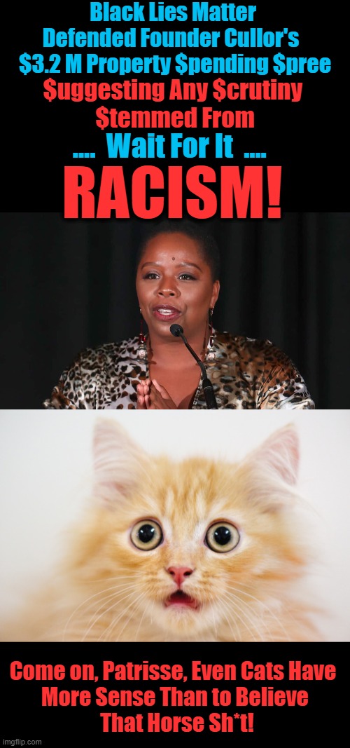 Too Bad Liberals Don't Have The Common Sense Cats Have.... | Black Lies Matter 
Defended Founder Cullor's  
$3.2 M Property $pending $pree; $uggesting Any $crutiny 
$temmed From; ....  Wait For It  .... RACISM! Come on, Patrisse, Even Cats Have  
More Sense Than to Believe 
That Horse Sh*t! | image tagged in political meme,democrats,blm,follow the money,thieves,liberalism | made w/ Imgflip meme maker