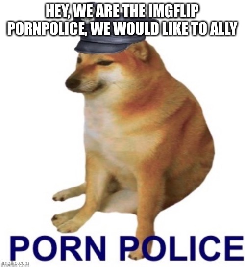 please | HEY, WE ARE THE IMGFLIP PORNPOLICE, WE WOULD LIKE TO ALLY | image tagged in pornpolice logo | made w/ Imgflip meme maker