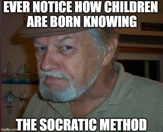 kids know | EVER NOTICE HOW CHILDREN 
ARE BORN KNOWING; THE SOCRATIC METHOD | image tagged in funny kids | made w/ Imgflip meme maker