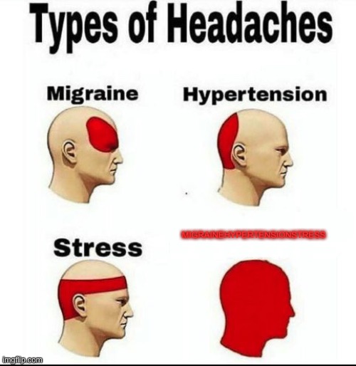 It says MIGRINEHYPERTENSIONSTRESS. | MIGRAINEHYPERTENSIONSTRESS | image tagged in types of headaches meme | made w/ Imgflip meme maker