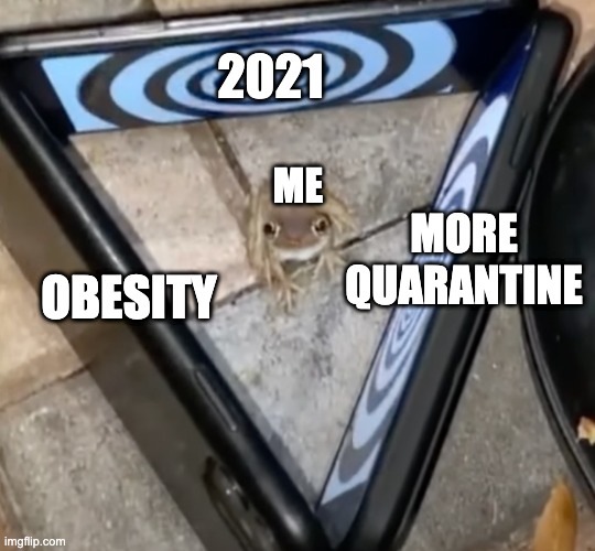 2021; ME; MORE QUARANTINE; OBESITY | image tagged in frog,2021,quarantine | made w/ Imgflip meme maker