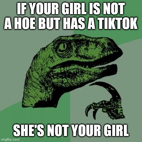 Philosoraptor Meme | IF YOUR GIRL IS NOT A HOE BUT HAS A TIKTOK; SHE'S NOT YOUR GIRL | image tagged in memes,philosoraptor | made w/ Imgflip meme maker