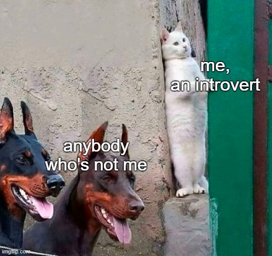 . | me,
an introvert; anybody who's not me | made w/ Imgflip meme maker