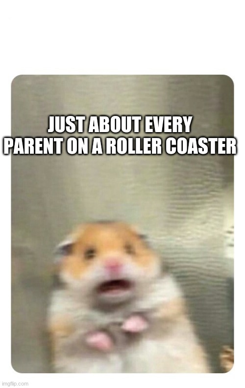 Am I right more than anything? XD | JUST ABOUT EVERY PARENT ON A ROLLER COASTER | image tagged in screaming hamster | made w/ Imgflip meme maker