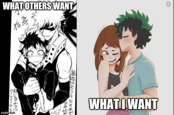 izuocha is best | WHAT OTHERS WANT; WHAT I WANT | image tagged in memes | made w/ Imgflip meme maker