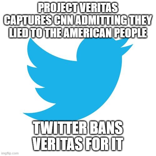 Twitter birds says | PROJECT VERITAS CAPTURES CNN ADMITTING THEY LIED TO THE AMERICAN PEOPLE; TWITTER BANS VERITAS FOR IT | image tagged in twitter birds says | made w/ Imgflip meme maker