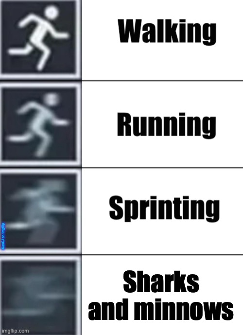 There are two kinds of people in those world: side-of-the-gym runners and middle-of-the-gym runners. | AlexCJ on imgflip; Sharks and minnows | image tagged in walk jog run sprint meme,sharks,running,gym class,physical education,middle school | made w/ Imgflip meme maker