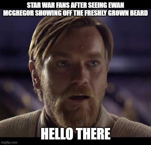 natural reaction to his obiwan beard return | STAR WAR FANS AFTER SEEING EWAN MCGREGOR SHOWING OFF THE FRESHLY GROWN BEARD; HELLO THERE | image tagged in hello there | made w/ Imgflip meme maker