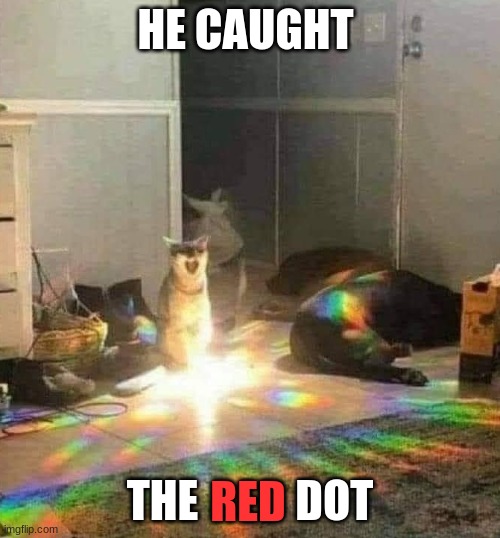 He caught the red dot | HE CAUGHT; THE           DOT; RED | image tagged in what if i told you | made w/ Imgflip meme maker