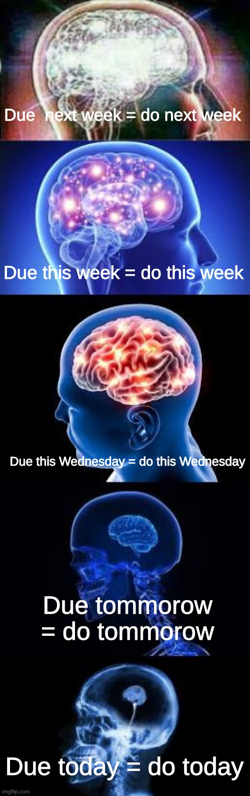 It's evolving, just backwards | Due  next week = do next week; Due this week = do this week; Due this Wednesday = do this Wednesday; Due tommorow = do tommorow; Due today = do today | image tagged in shrinking brain | made w/ Imgflip meme maker