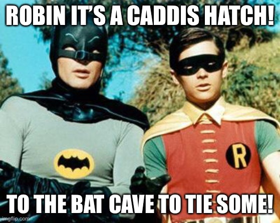 Batman and Robin | ROBIN IT’S A CADDIS HATCH! TO THE BAT CAVE TO TIE SOME! | image tagged in batman and robin | made w/ Imgflip meme maker