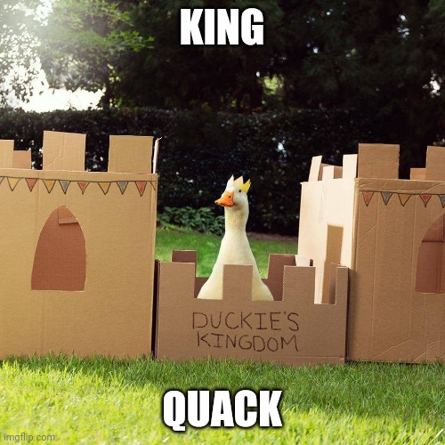 LONG LIVE THE QUACK | KING; QUACK | image tagged in ducks,duck | made w/ Imgflip meme maker