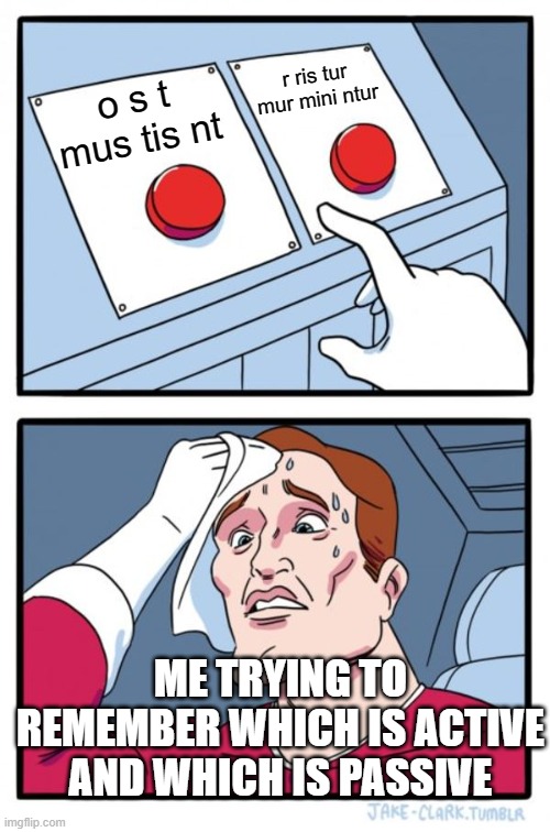 Two Buttons Meme | r ris tur mur mini ntur; o s t mus tis nt; ME TRYING TO REMEMBER WHICH IS ACTIVE AND WHICH IS PASSIVE | image tagged in memes,two buttons | made w/ Imgflip meme maker