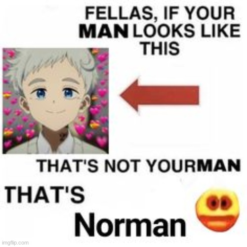 Norman ,Not Your man. | made w/ Imgflip meme maker