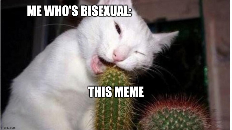 OUCH | THIS MEME ME WHO'S BISEXUAL: | image tagged in ouch | made w/ Imgflip meme maker