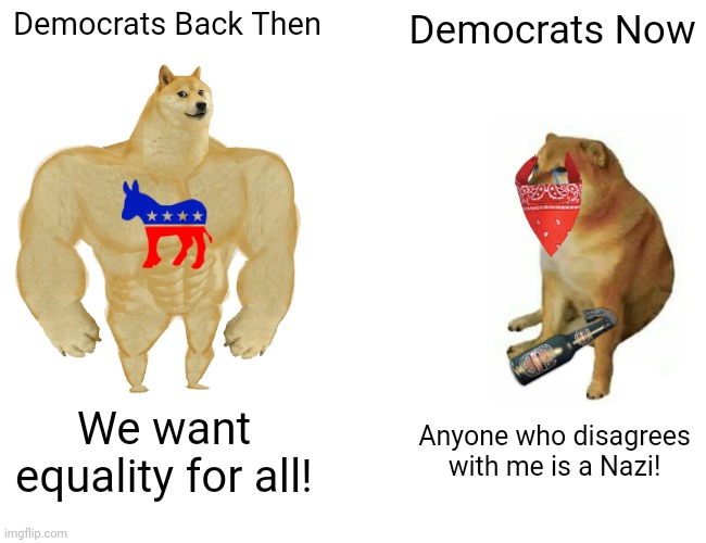 Democrats: Then vs. Now | Democrats Back Then; Democrats Now; We want equality for all! Anyone who disagrees with me is a Nazi! | image tagged in memes,buff doge vs cheems,democrats,then vs now | made w/ Imgflip meme maker