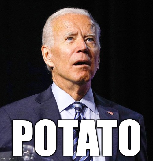 Joe Biden | POTATO | image tagged in joe biden | made w/ Imgflip meme maker
