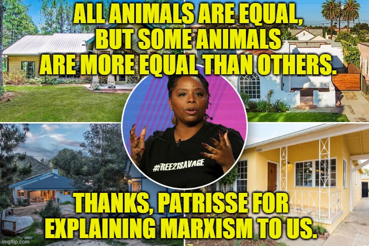 Equal Amimals | ALL ANIMALS ARE EQUAL,
BUT SOME ANIMALS
ARE MORE EQUAL THAN OTHERS. THANKS, PATRISSE FOR EXPLAINING MARXISM TO US. | image tagged in marxism | made w/ Imgflip meme maker