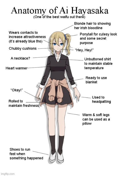 Anatomy of the best girl in Love is War | image tagged in ai hayasaka,meme,anime meme,waifu,anime girl | made w/ Imgflip meme maker
