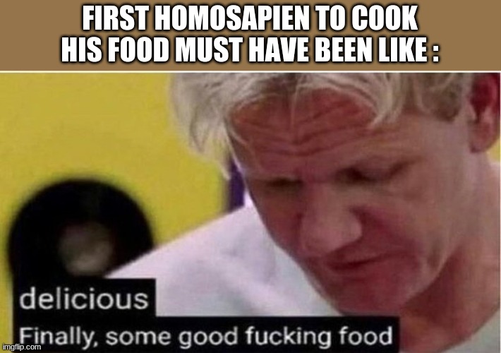 Gordon Ramsay some good food | FIRST HOMOSAPIEN TO COOK HIS FOOD MUST HAVE BEEN LIKE : | image tagged in gordon ramsay some good food | made w/ Imgflip meme maker