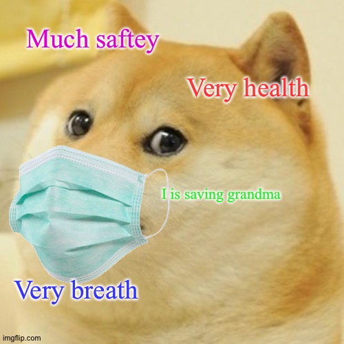 Liberal thoughts | Much saftey; Very health; I is saving grandma; Very breath | image tagged in memes,doge,face mask | made w/ Imgflip meme maker