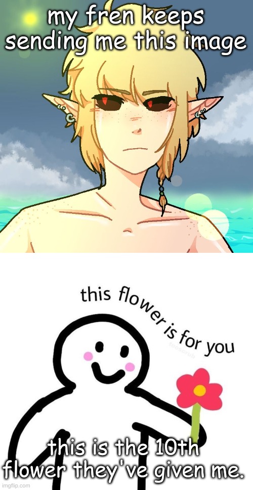 my fren keeps sending me this image; this is the 10th flower they've given me. | image tagged in ben | made w/ Imgflip meme maker