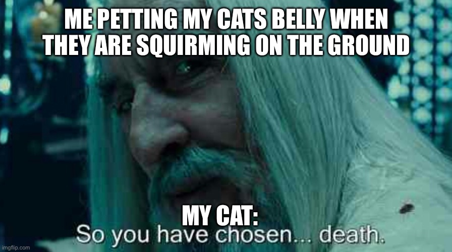 So you have chosen death | ME PETTING MY CATS BELLY WHEN THEY ARE SQUIRMING ON THE GROUND; MY CAT: | image tagged in so you have chosen death | made w/ Imgflip meme maker
