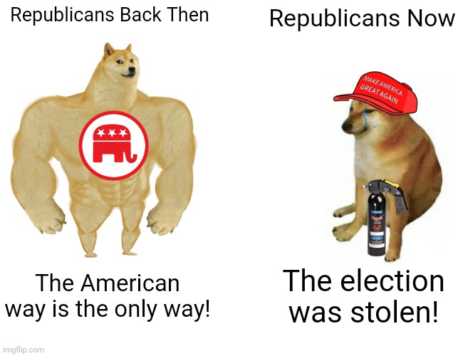 Republicans: Then vs Now | Republicans Back Then; Republicans Now; The American way is the only way! The election was stolen! | image tagged in memes,buff doge vs cheems,republicans,then vs now | made w/ Imgflip meme maker