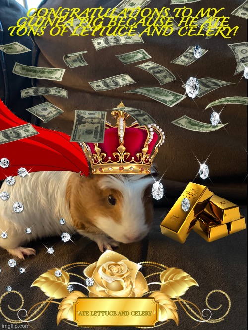 CONGRATULATIONS TO MY GUINEA PIG BECAUSE HE ATE TONS OF LETTUCE AND CELERY! ATE LETTUCE AND CELERY | made w/ Imgflip meme maker
