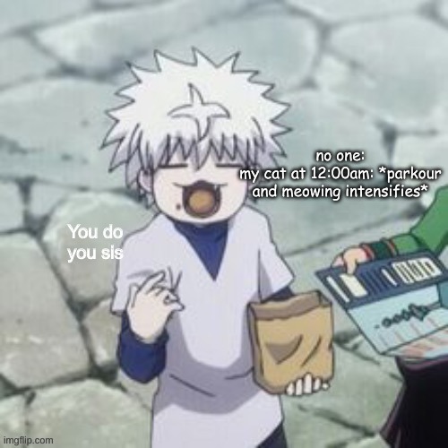 Killua | no one:
my cat at 12:00am: *parkour and meowing intensifies* | image tagged in killua | made w/ Imgflip meme maker