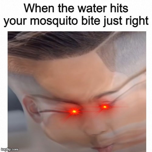 I just found this image in a video I was watching when I paused it so yea | When the water hits your mosquito bite just right | image tagged in that feeling | made w/ Imgflip meme maker