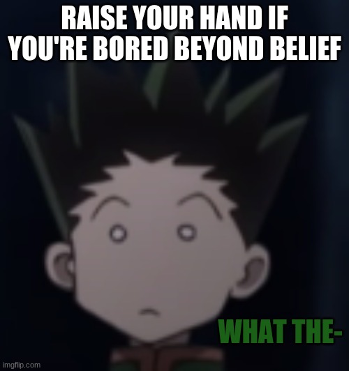 *Raises hand* | RAISE YOUR HAND IF YOU'RE BORED BEYOND BELIEF | image tagged in gon what the- | made w/ Imgflip meme maker