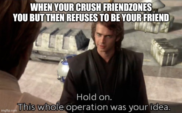 pain | WHEN YOUR CRUSH FRIENDZONES YOU BUT THEN REFUSES TO BE YOUR FRIEND | image tagged in hold on this whole operation was your idea,friendzone | made w/ Imgflip meme maker