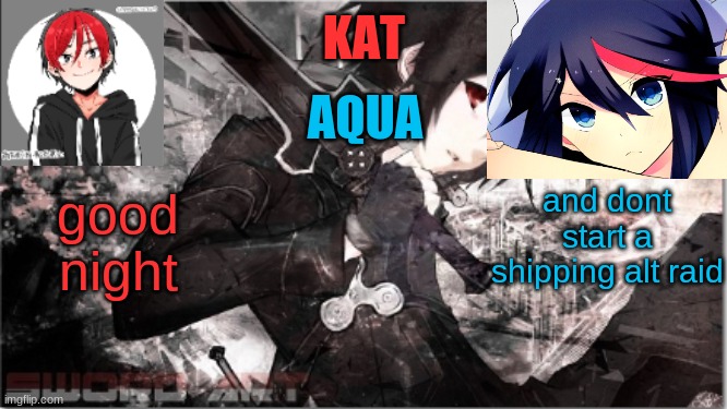 well ok | and dont start a shipping alt raid; good night | image tagged in katxaqua | made w/ Imgflip meme maker